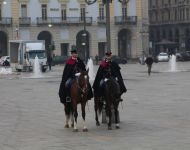 vds (8)